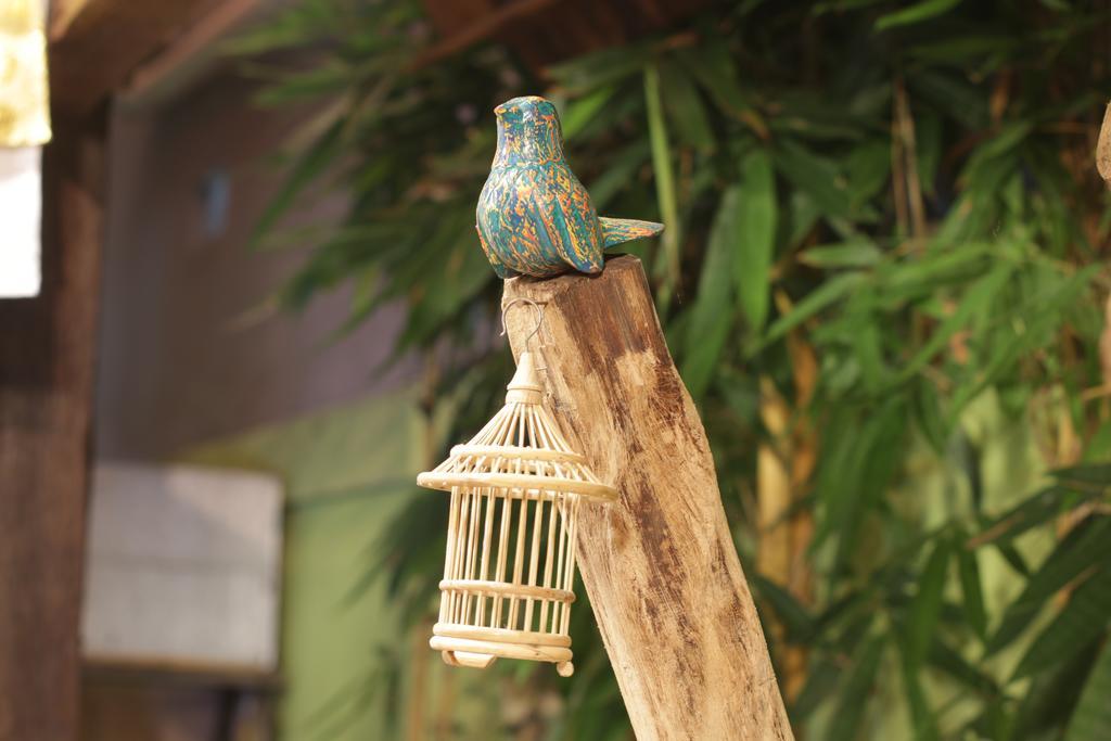 Green Bird Villa - Chse Certified Ουμπούντ Εξωτερικό φωτογραφία